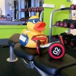 fakenham sports duck