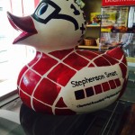 stephenson duck1